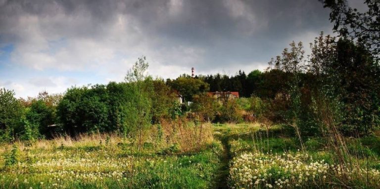 Strnadovo zahradnictví – znovu a lépe